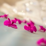 Khazana-Creations-Embassy-Grande-orchids-6045
